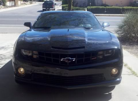 Name:  BlackBeauty2.jpg
Views: 221
Size:  24.9 KB