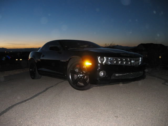 Name:  cody002-1.jpg
Views: 297
Size:  42.5 KB