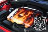 Custom Painted Engine and Battery Box Covers-dsc_1445.jpg
