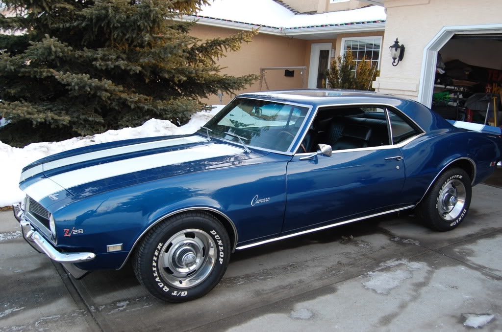 Name:  Calgary060.jpg
Views: 3929
Size:  150.4 KB