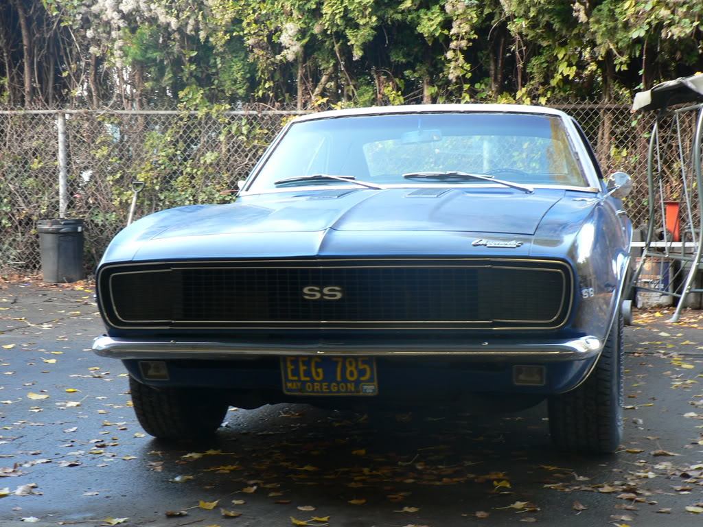 Name:  camerapics003.jpg
Views: 64
Size:  194.2 KB