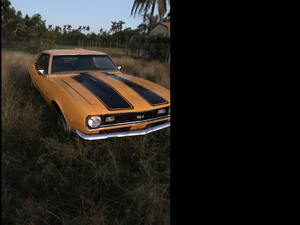 New to Camaro need vin help-image.png