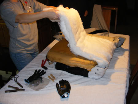 Name:  seats116.jpg
Views: 101
Size:  29.4 KB