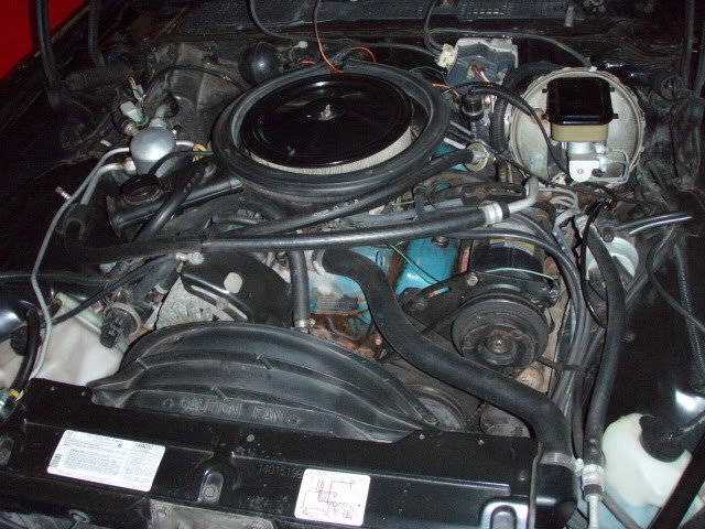 Name:  1981camaro002.jpg
Views: 41
Size:  77.7 KB