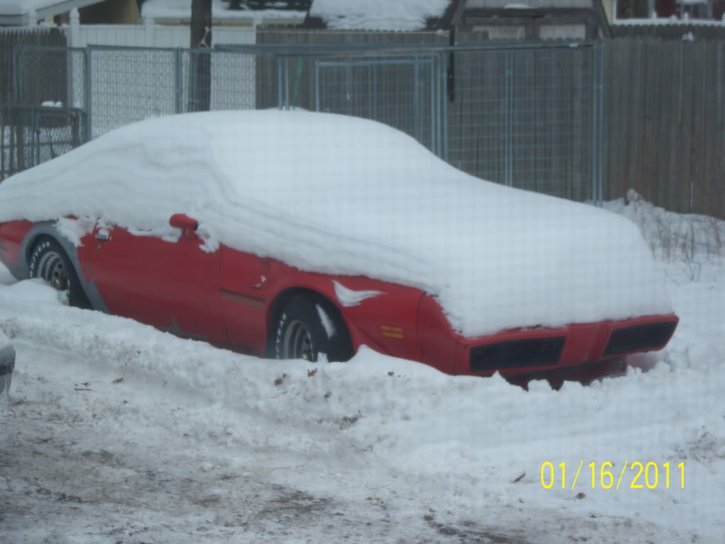 Name:  024-3.jpg
Views: 21
Size:  95.7 KB