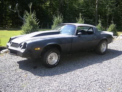 Name:  1979-Chevrolet-Camaro-for-sale_170524608556.jpg
Views: 40
Size:  38.1 KB