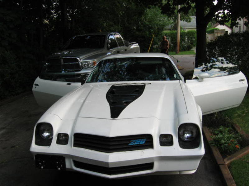 Name:  whitefront.jpg
Views: 17
Size:  51.7 KB