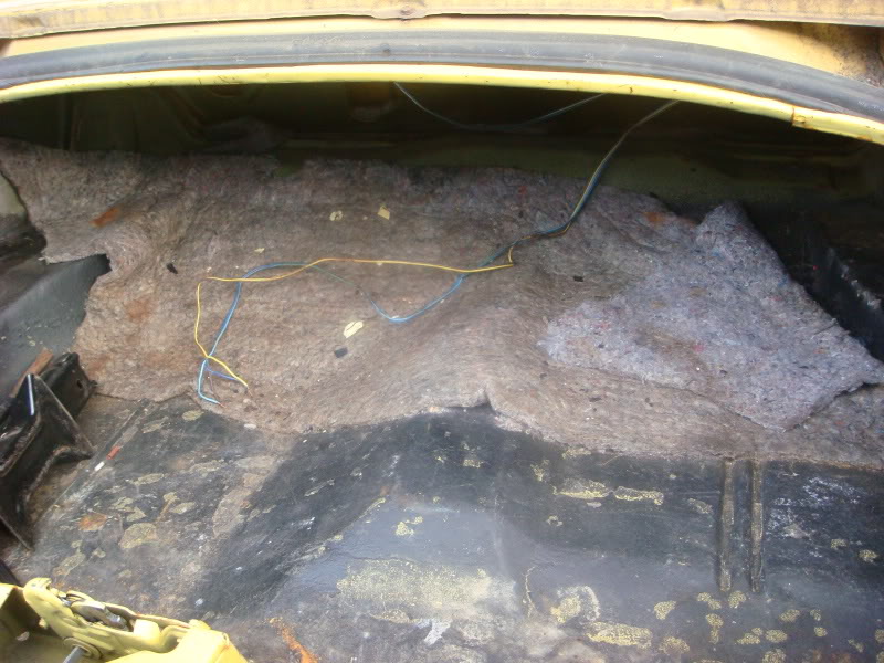 Name:  trunk1.jpg
Views: 18
Size:  122.2 KB