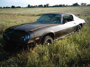 Name:  1979camaro2.jpg
Views: 30
Size:  10.9 KB