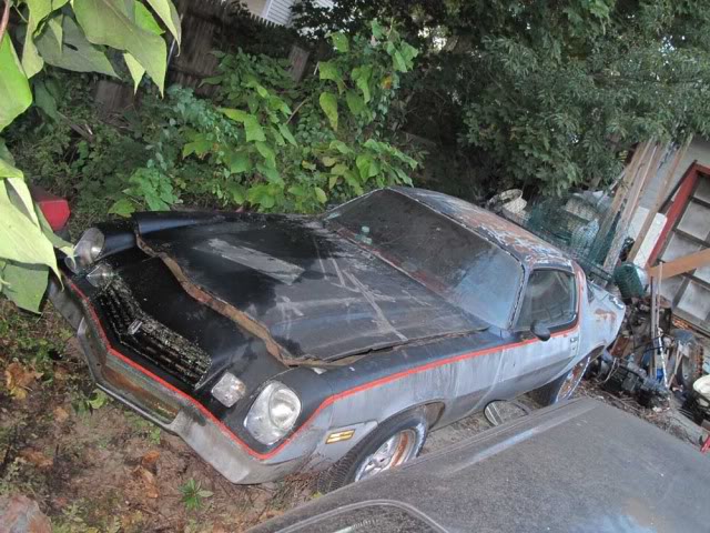 Name:  IMG_4744.jpg
Views: 31
Size:  100.7 KB