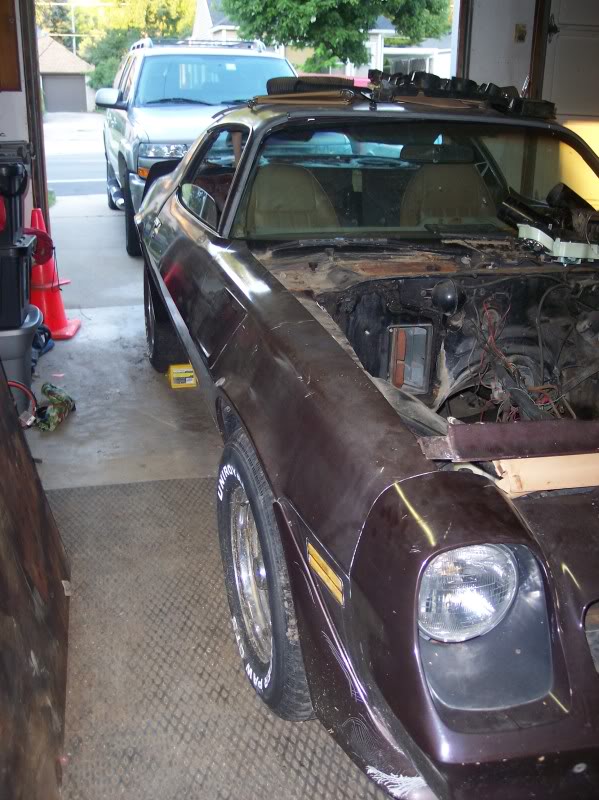 Name:  101_6989.jpg
Views: 33
Size:  98.3 KB