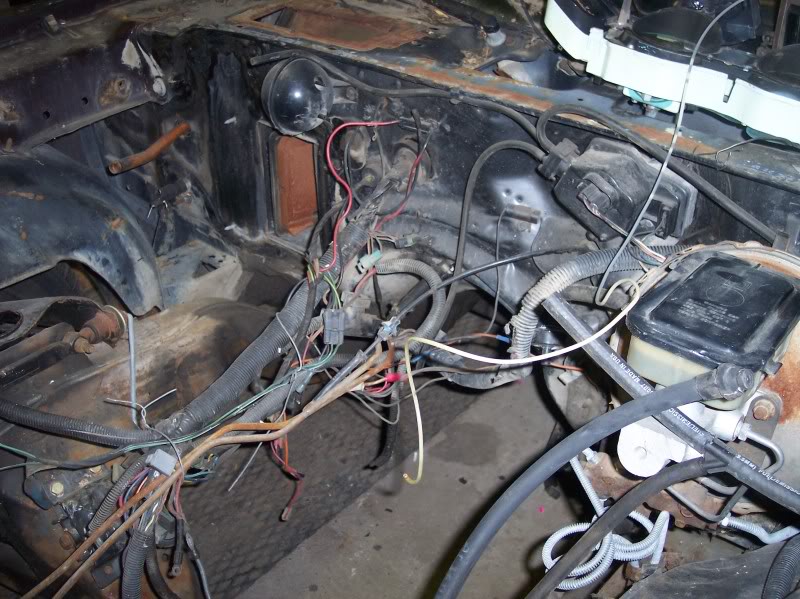 Name:  101_6994.jpg
Views: 24
Size:  114.1 KB