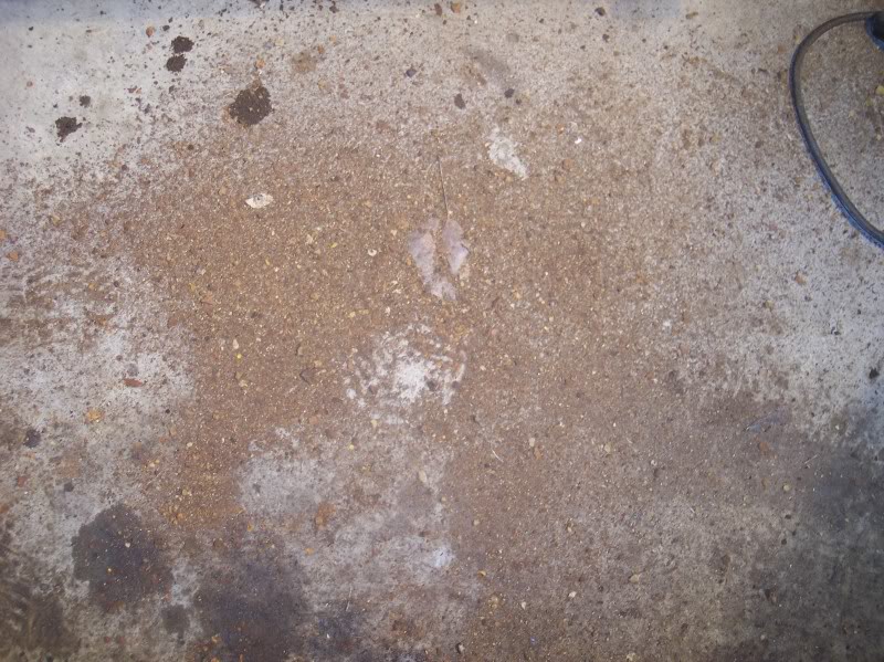 Name:  101_6716.jpg
Views: 22
Size:  134.0 KB