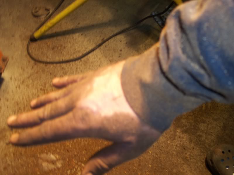 Name:  101_6717.jpg
Views: 20
Size:  44.6 KB