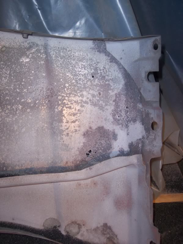 Name:  101_5896.jpg
Views: 182
Size:  81.6 KB