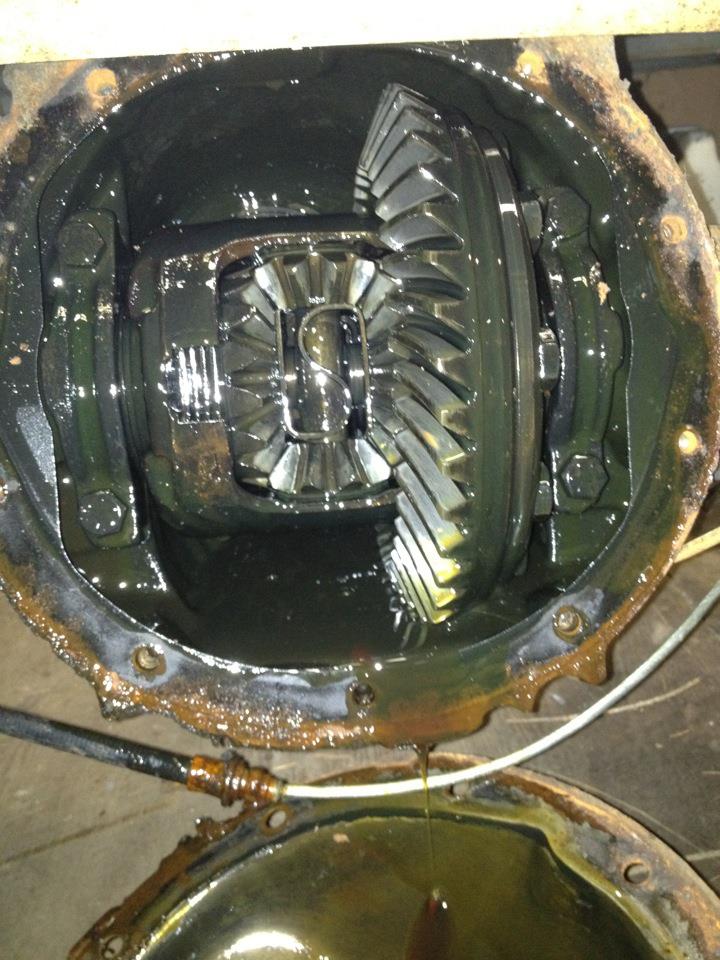 Name:  tommyrear1.jpg
Views: 176
Size:  105.7 KB