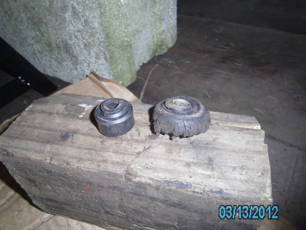 Name:  SANY7579.jpg
Views: 176
Size:  139.3 KB