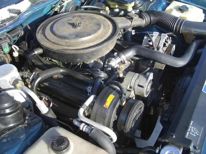 Name:  91CamaroUnderHood-1.jpg
Views: 165
Size:  79.7 KB