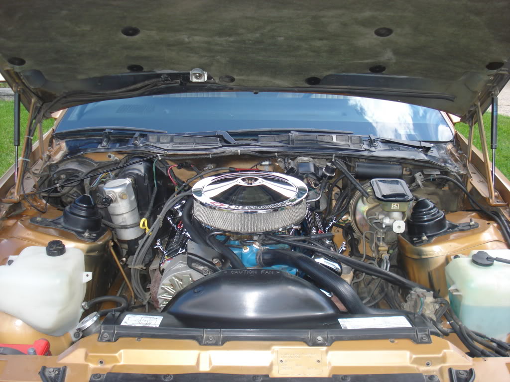 Name:  Engine4.jpg
Views: 502
Size:  144.3 KB