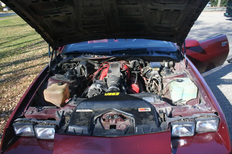 Name:  IMG_2492.jpg
Views: 641
Size:  80.5 KB