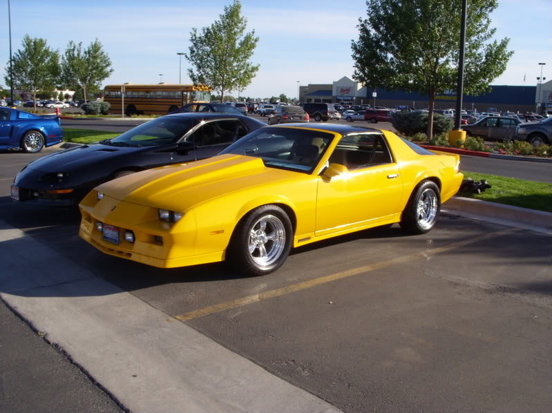Name:  SS850341-1.jpg
Views: 1624
Size:  96.7 KB