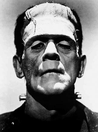 Name:  Frankenstein.jpg
Views: 41
Size:  22.4 KB