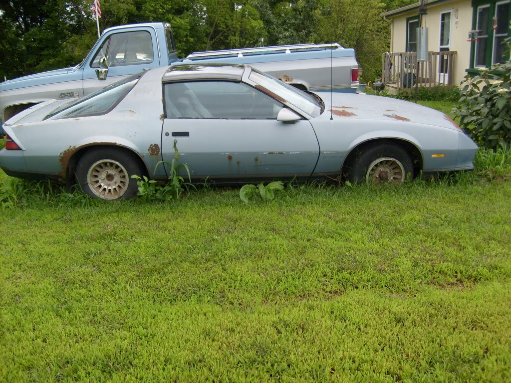 Name:  S6300053.jpg
Views: 483
Size:  287.0 KB