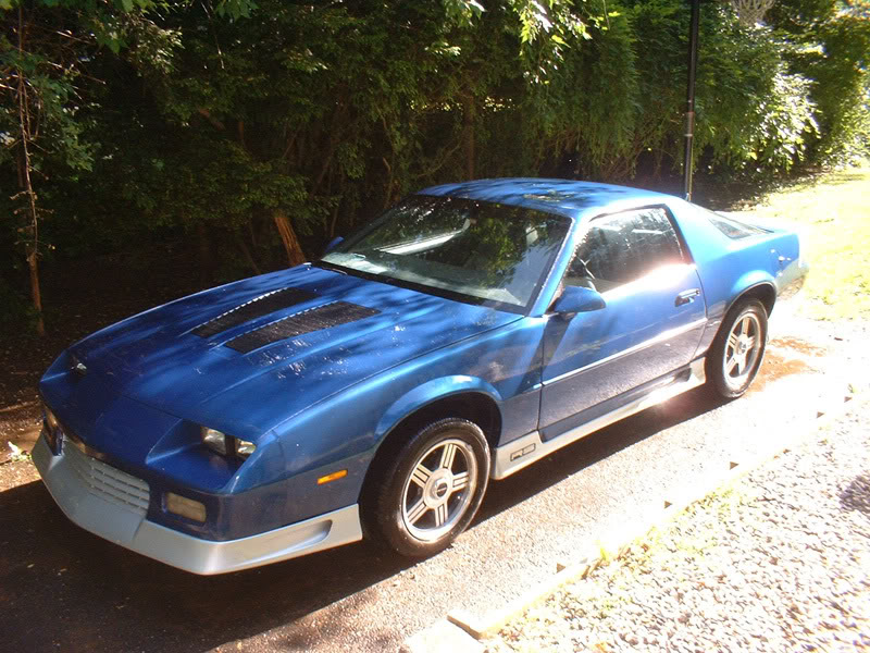 Name:  DSCF0009.jpg
Views: 19
Size:  143.0 KB