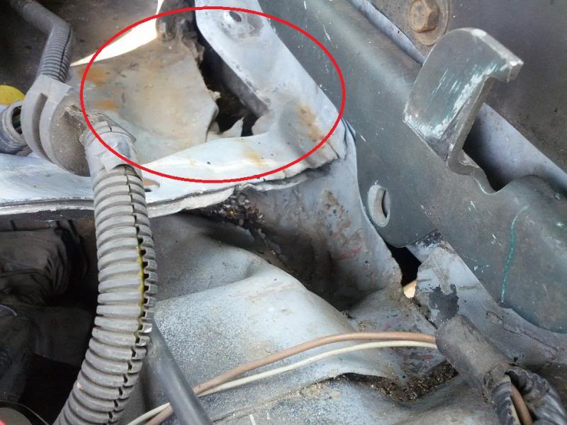 Name:  IMG_20130622_120446_zpsc095146f.jpg
Views: 53
Size:  71.3 KB