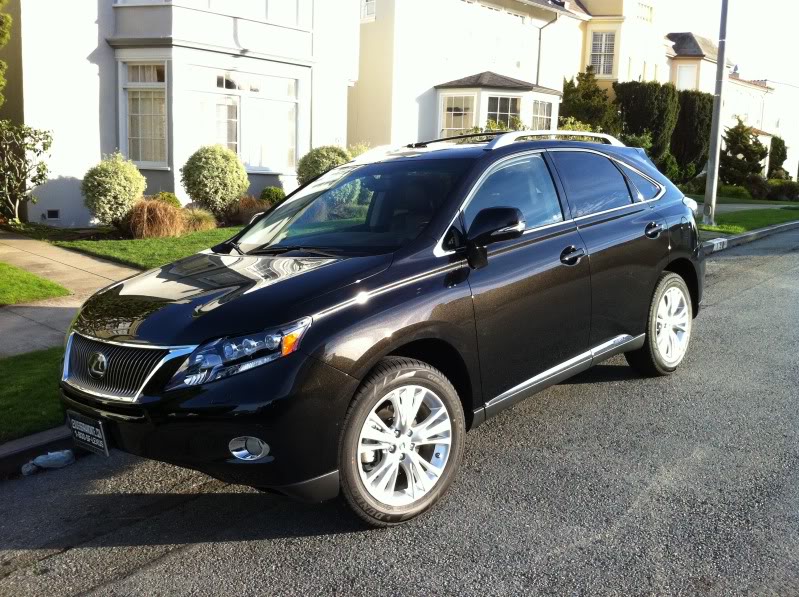 Name:  starlight3_zps7cd85391.jpg
Views: 610
Size:  141.1 KB