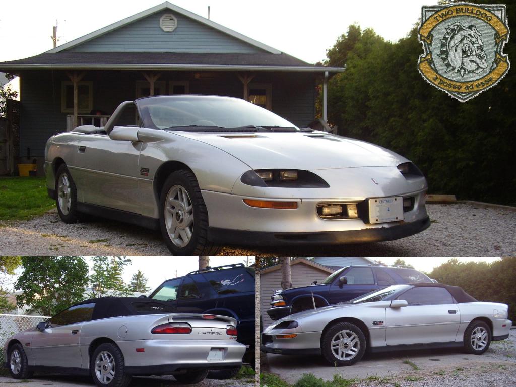 Name:  Installed.jpg
Views: 224
Size:  128.6 KB