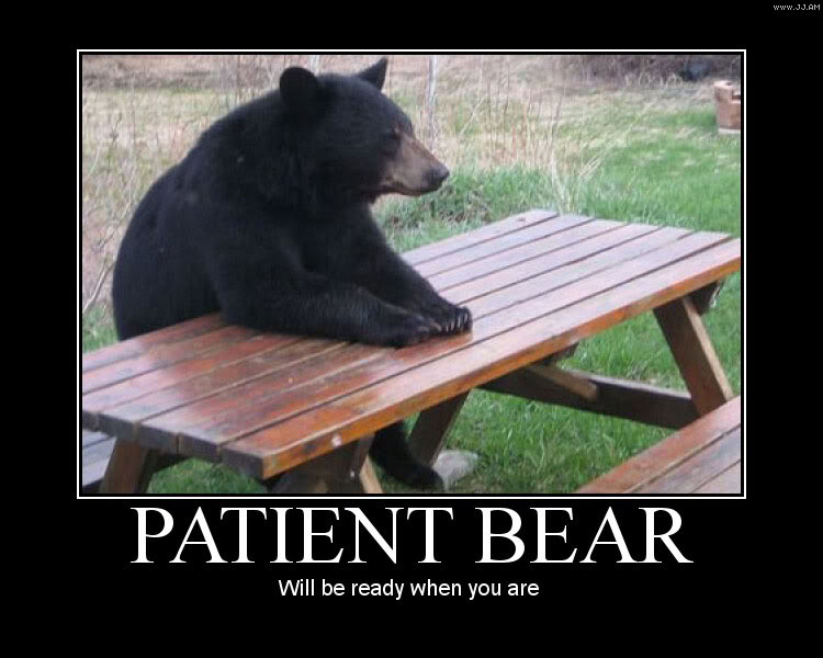 Name:  Patient_bear.jpg
Views: 764
Size:  65.9 KB