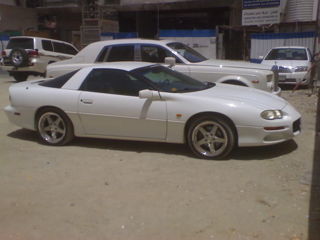 Name:  DSC00369.jpg
Views: 310
Size:  67.2 KB