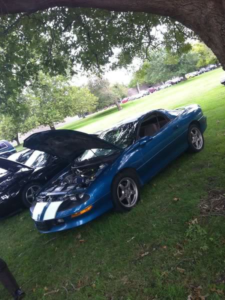 Name:  camaro.jpg
Views: 19
Size:  67.1 KB