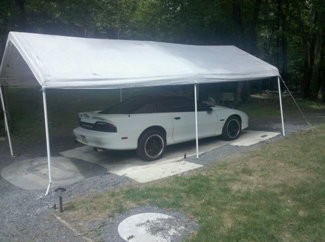 Name:  38361_1558248518693_1309664636_31539957_3928744_n.jpg
Views: 1563
Size:  52.3 KB