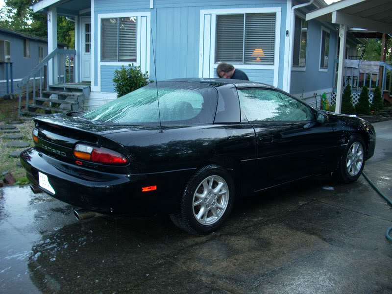 Name:  DSCN0255a.jpg
Views: 12
Size:  101.1 KB