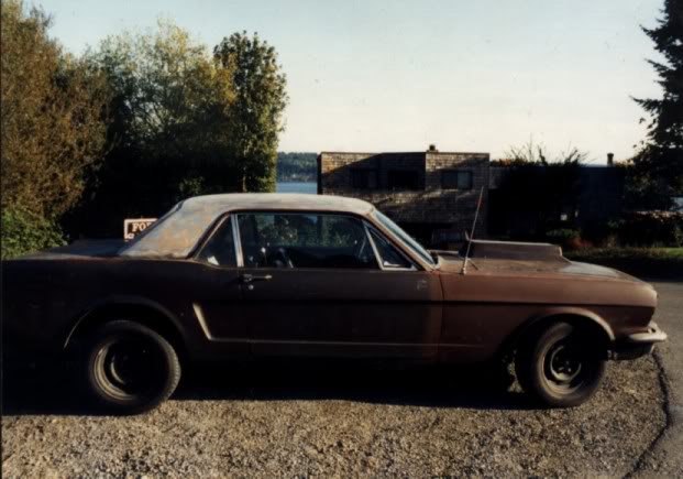 Name:  mustang2-1.jpg
Views: 67
Size:  48.4 KB