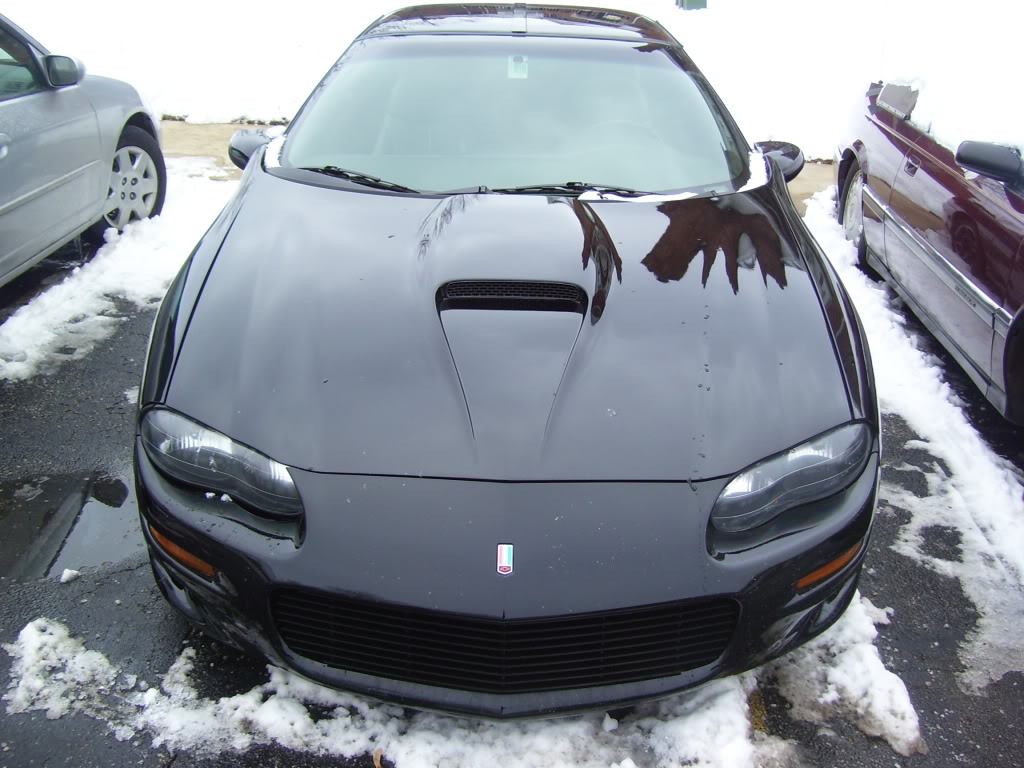 Name:  grill003.jpg
Views: 95
Size:  131.4 KB