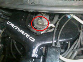 Name:  0_IMAG0059.jpg
Views: 23
Size:  16.0 KB