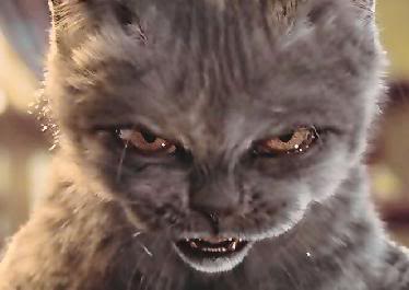 Name:  angry_cat.jpg
Views: 1715
Size:  13.1 KB