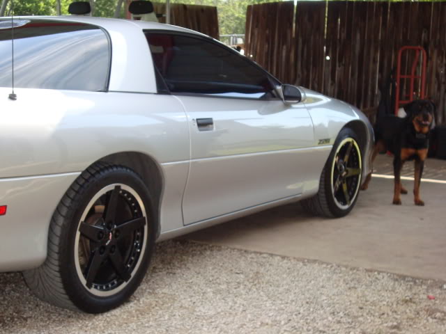 Name:  DSC00272.jpg
Views: 28
Size:  66.5 KB