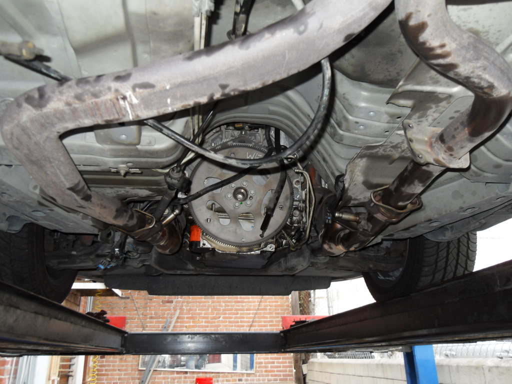 Name:  SDC10102.jpg
Views: 23
Size:  147.6 KB