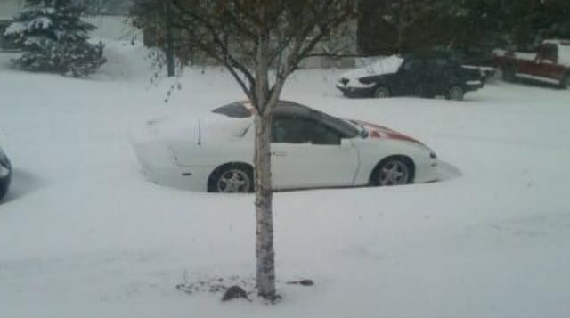 Name:  camarosnow.jpg
Views: 15
Size:  21.7 KB