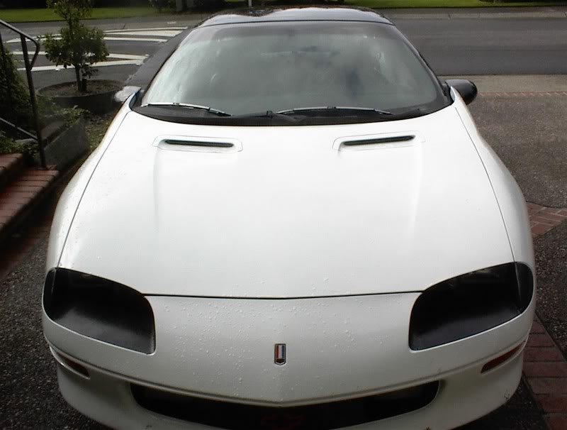 Name:  camaro002.jpg
Views: 29
Size:  55.9 KB