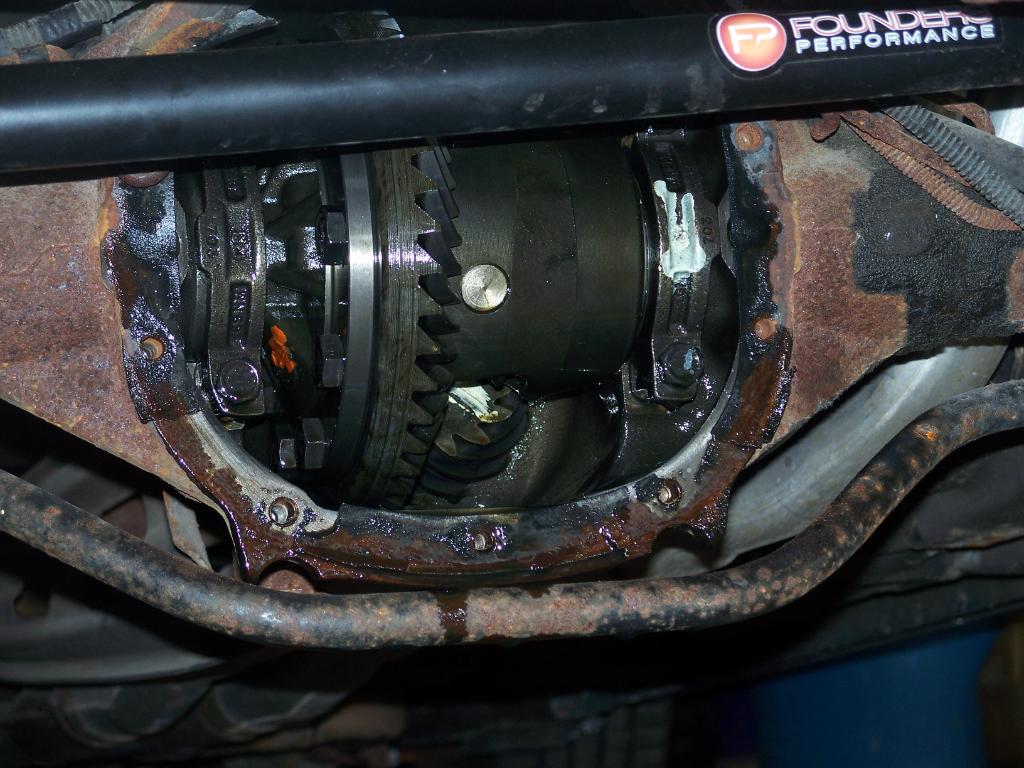 Name:  100_7736.jpg
Views: 284
Size:  120.8 KB