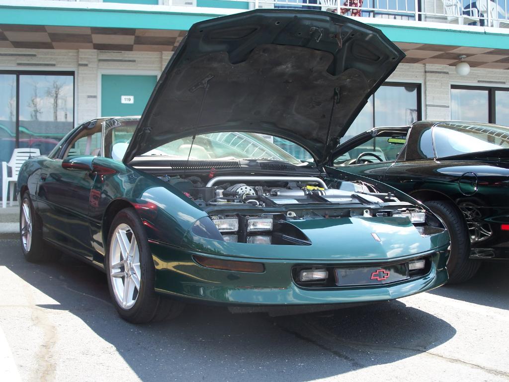 Name:  100_7807-1.jpg
Views: 276
Size:  120.1 KB