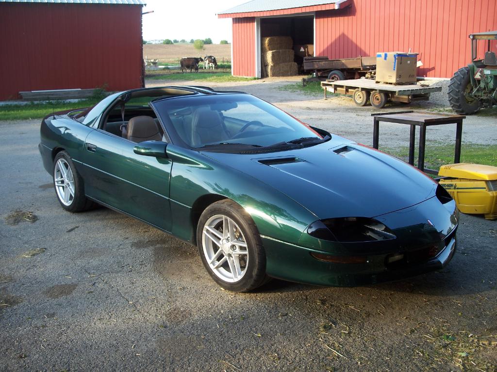 Name:  100_8089.jpg
Views: 289
Size:  156.6 KB