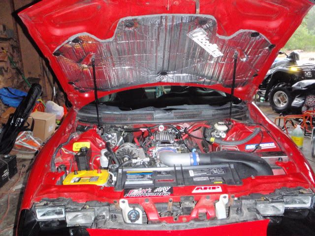 Name:  P8060001.jpg
Views: 72
Size:  142.1 KB