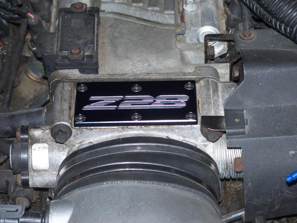 Name:  100_6213.jpg
Views: 101
Size:  120.3 KB