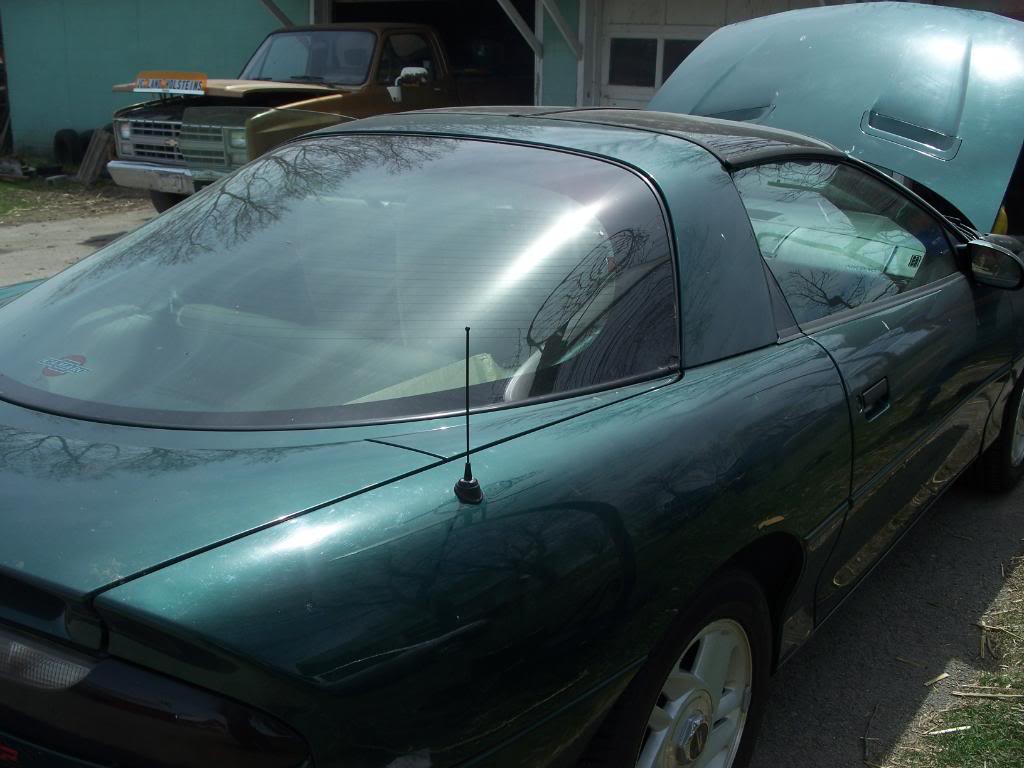 Name:  100_6186.jpg
Views: 116
Size:  82.9 KB